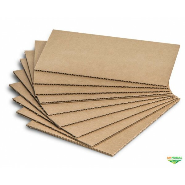 PLACA DE PAPELÃO - 2,50x2,00cm