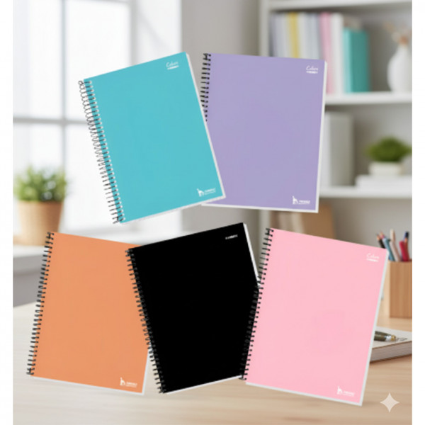 CADERNO DE ESPIRAL 80 FOLHAS