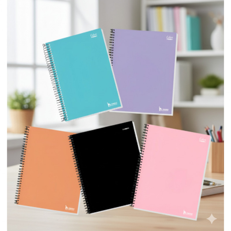 CADERNO DE ESPIRAL 80 FOLHAS